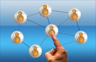 开云体育在线下载-体育新闻中心参与高校体育传媒课程共建，体育新闻与管理系  第2张